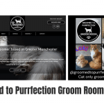 Groomed to Purrfection Groom Room