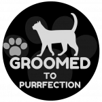 groomed to purrfection