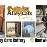 Alley Cats Cattery